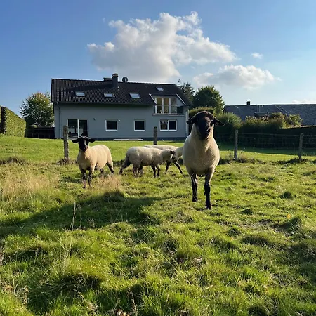 Apartment Ferienloft Eifeel Good - Natururlaub In Monschau