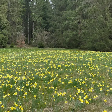 Apartment Ferienloft Eifeel Good - Natururlaub In