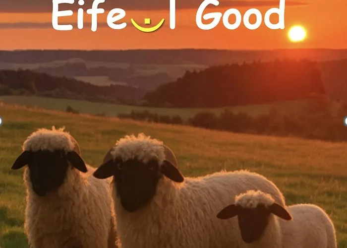 Ferienloft Eifeel Good - Natururlaub In Lejlighed *