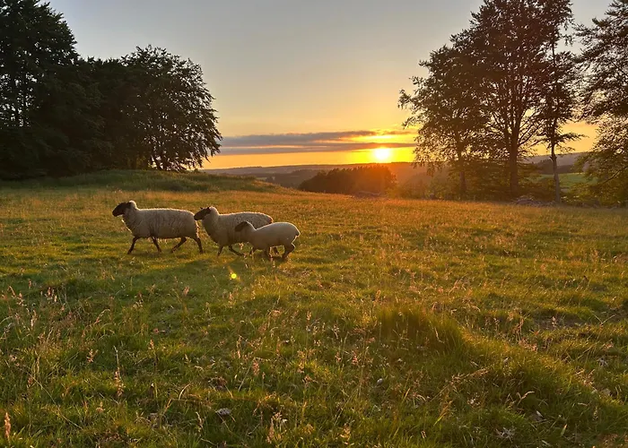 Ferienloft Eifeel Good - Natururlaub In Μονσάου